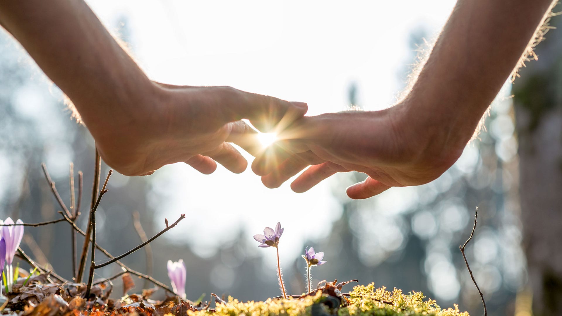Two hands reaching toward each other in warm sunlight